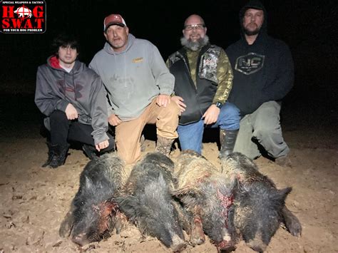 cheap hog hunts georgia